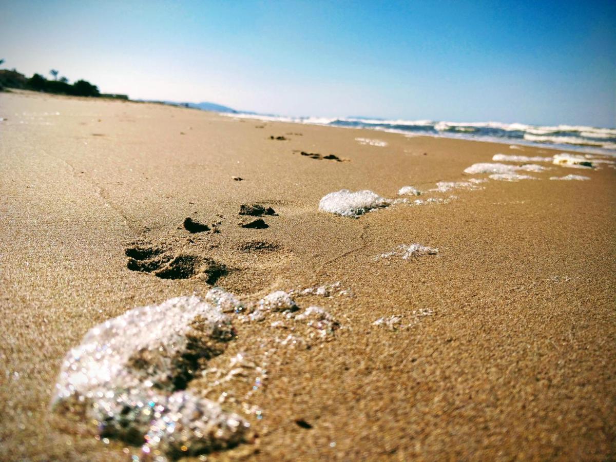 Hello Piles Beach Javier エクステリア 写真