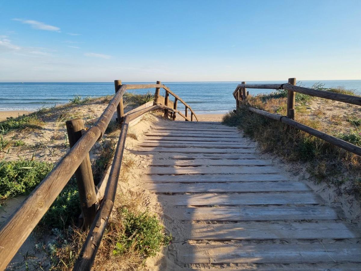 Hello Piles Beach Javier エクステリア 写真