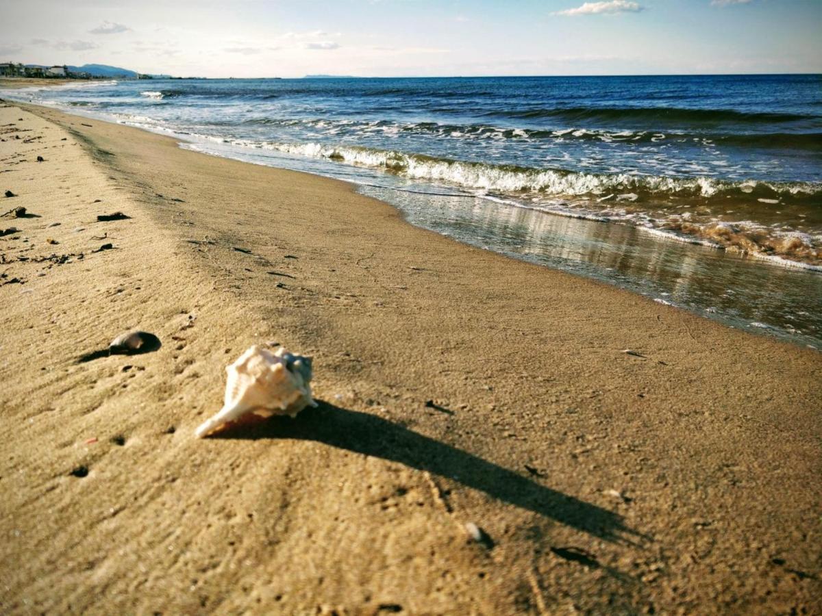 Hello Piles Beach Javier エクステリア 写真